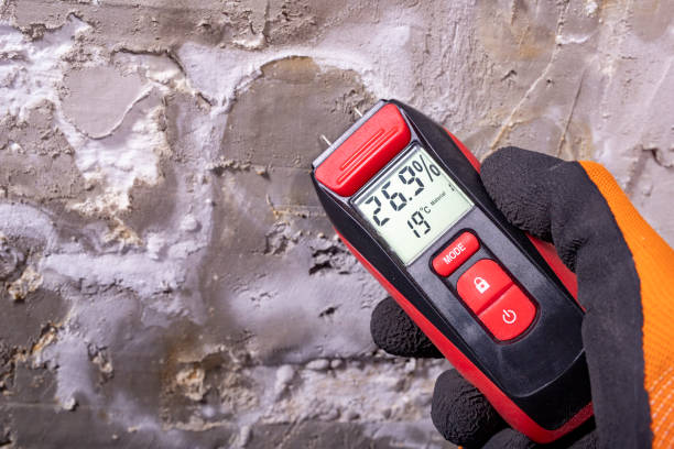 Best Residential Mold Removal  in Mount Kisco, NY