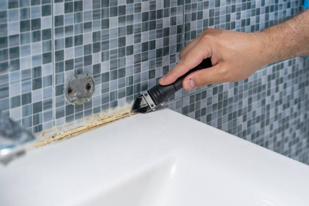 Best Best Mold Removal Companies  in Mount Kisco, NY