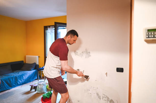 Crawl Space Mold Removal in Mount Kisco, NY
